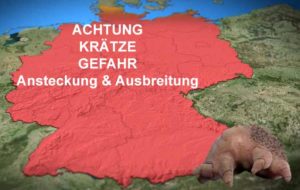 Die ersten Anzeichen von Krätze im ersten Stadium erkennen Krätze Beginn Bild AOK Ausbreitung Krätze Beginn Bild AOK Ausbreitung - Die ersten Anzeichen von Krätze im ersten Stadium erkennen