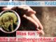 Hausstaub Milben Kraetze ausführliche Info auf Milbenproblem.de Ratgeberseite über Skabies